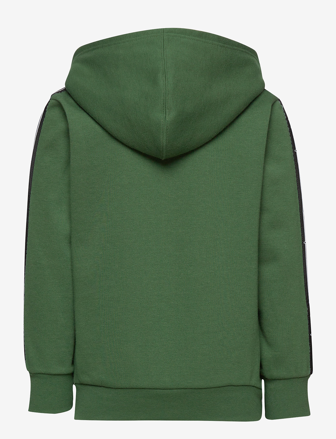 Champion - Hooded Sweatshirt - greener pastures - 1
