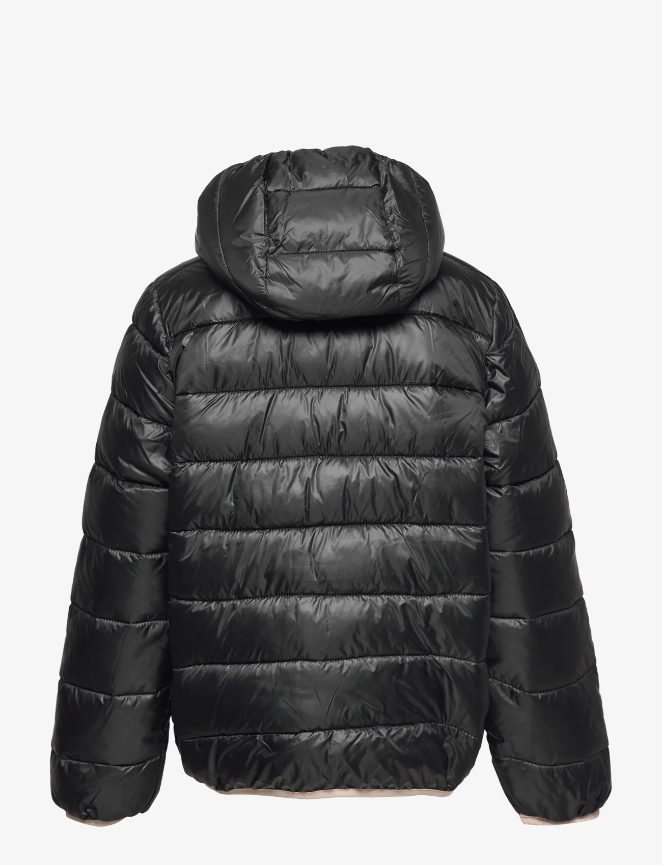 Champion - Hooded Jacket - insulated jackets - black beauty - 1