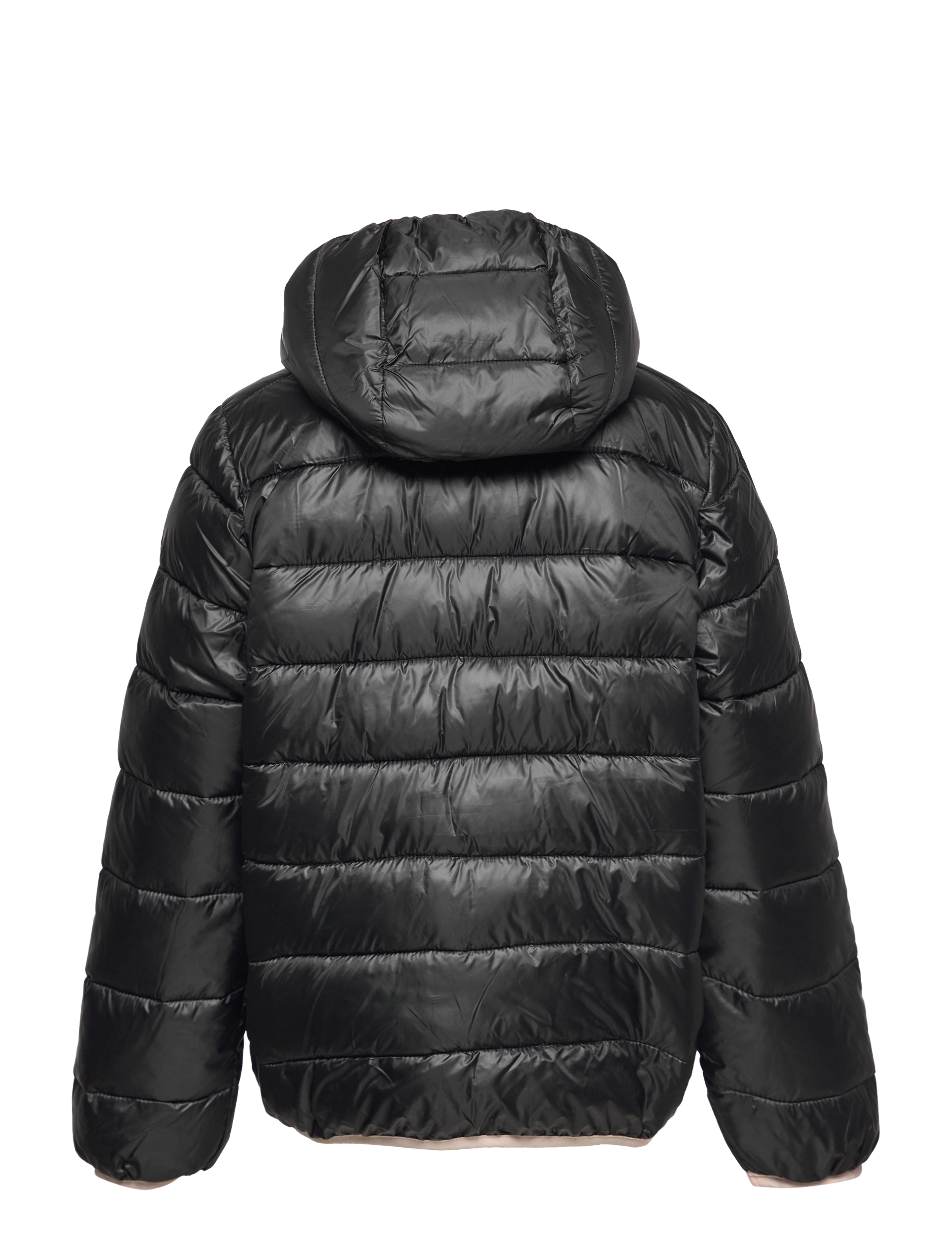 Champion - Hooded Jacket - black beauty - 1