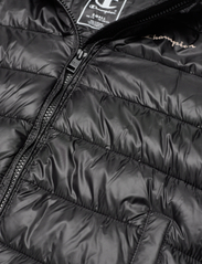 Champion - Hooded Jacket - insulated jackets - black beauty - 2