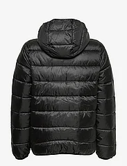 Champion - Hooded Jacket - insulated jackets - black beauty a - 1