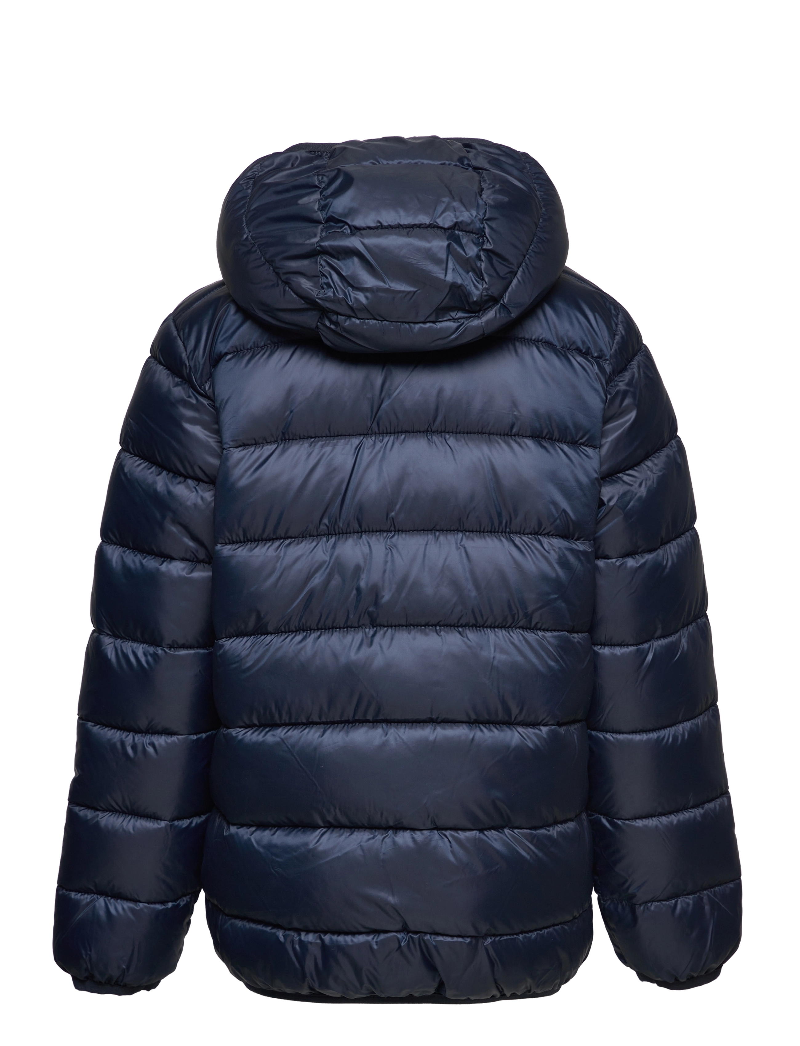 Champion - Hooded Jacket - sky captain - 1