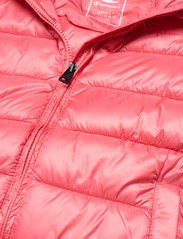 Champion - Hooded Jacket - insulated jackets - tea rose - 2