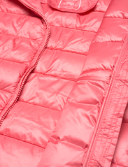 Champion - Hooded Jacket - insulated jackets - tea rose - 4