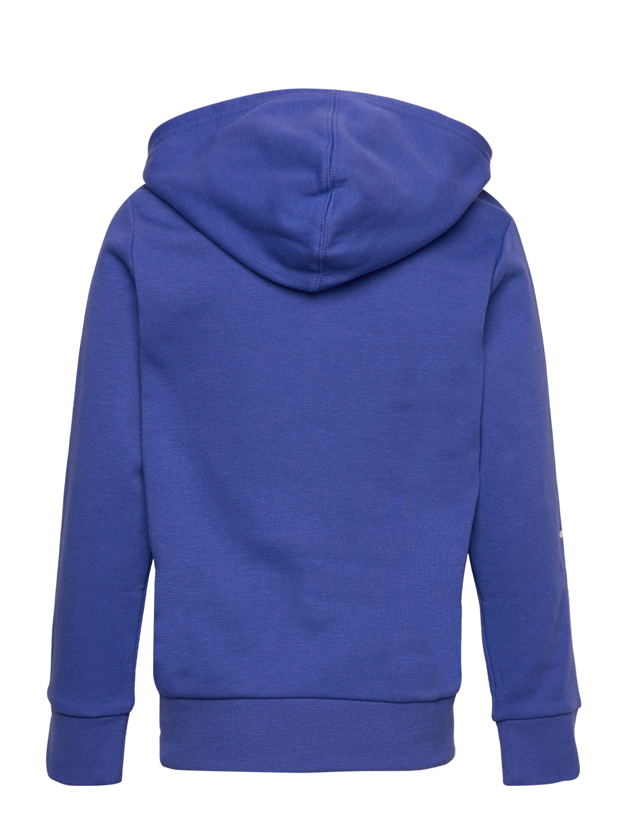 Champion - Hooded Full Zip Sweatshirt - dazzling blue - 2