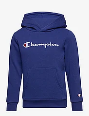 Champion - Hooded Sweatshirt - kapuzenpullover - bellwether blue - 0