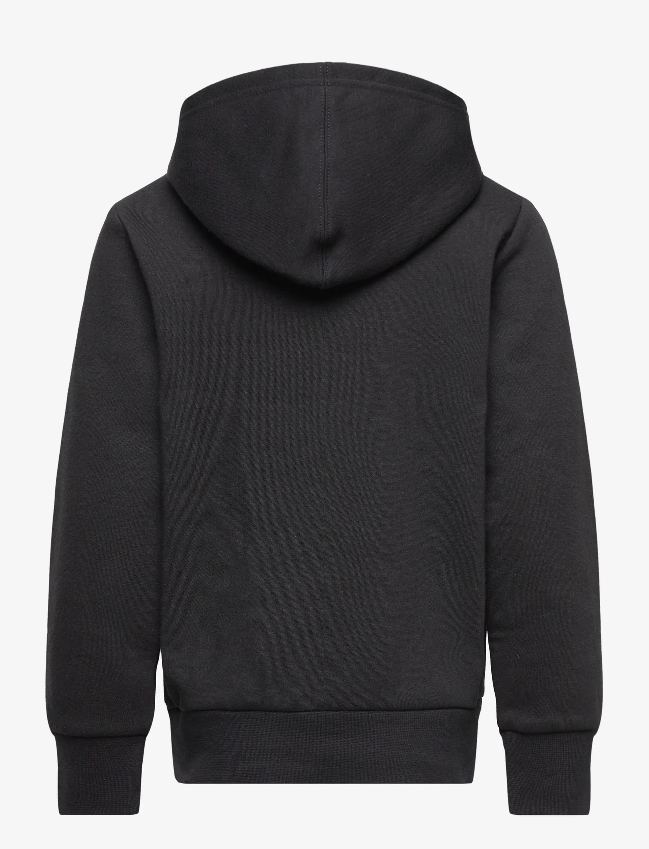 Champion - Hooded Sweatshirt - kapuzenpullover - black beauty - 1