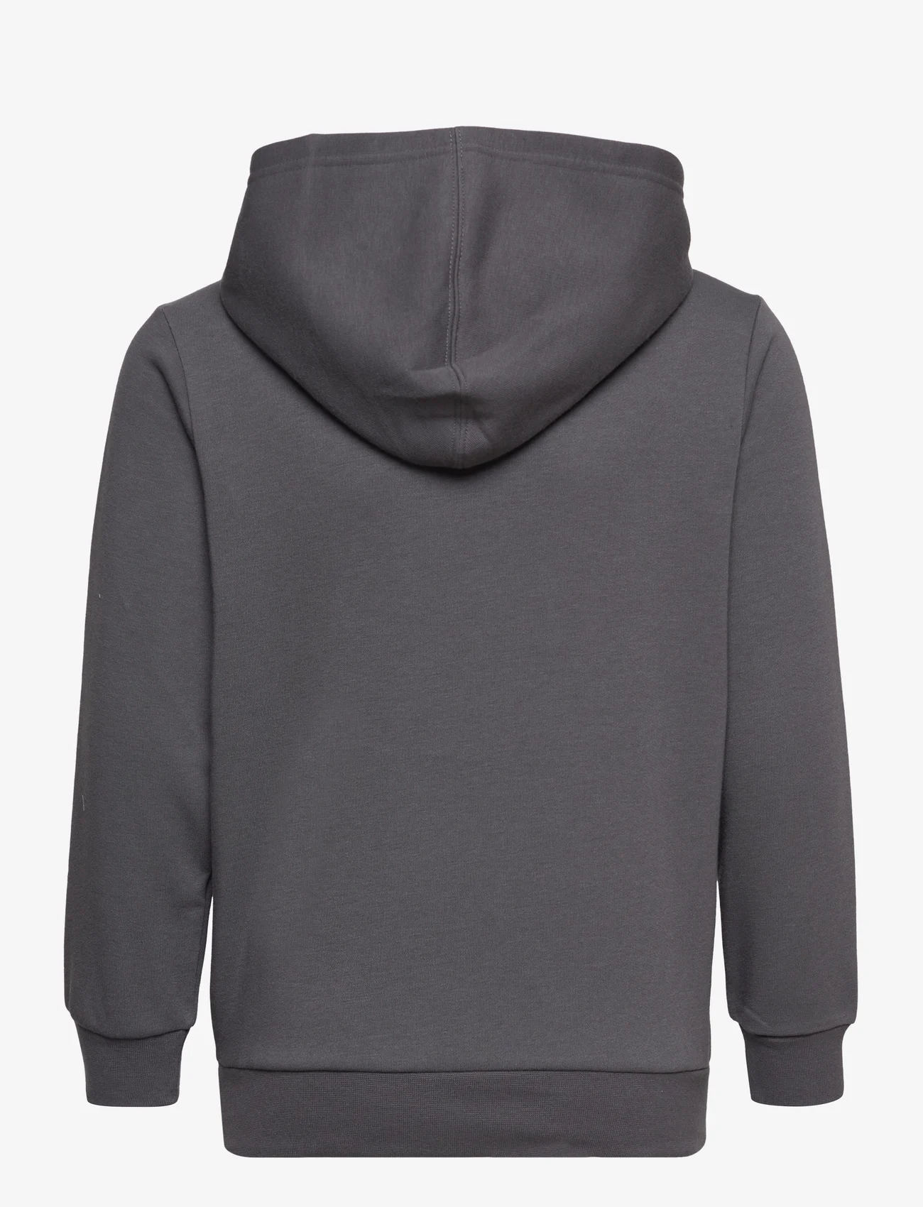 Champion - Hooded Sweatshirt - kapuzenpullover - blackened pearl - 1