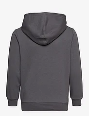Champion - Hooded Sweatshirt - hættetrøjer - blackened pearl - 1