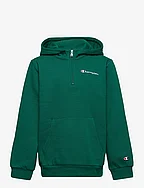 Half Zip Hooded Sweatshirt - AVENTURINE