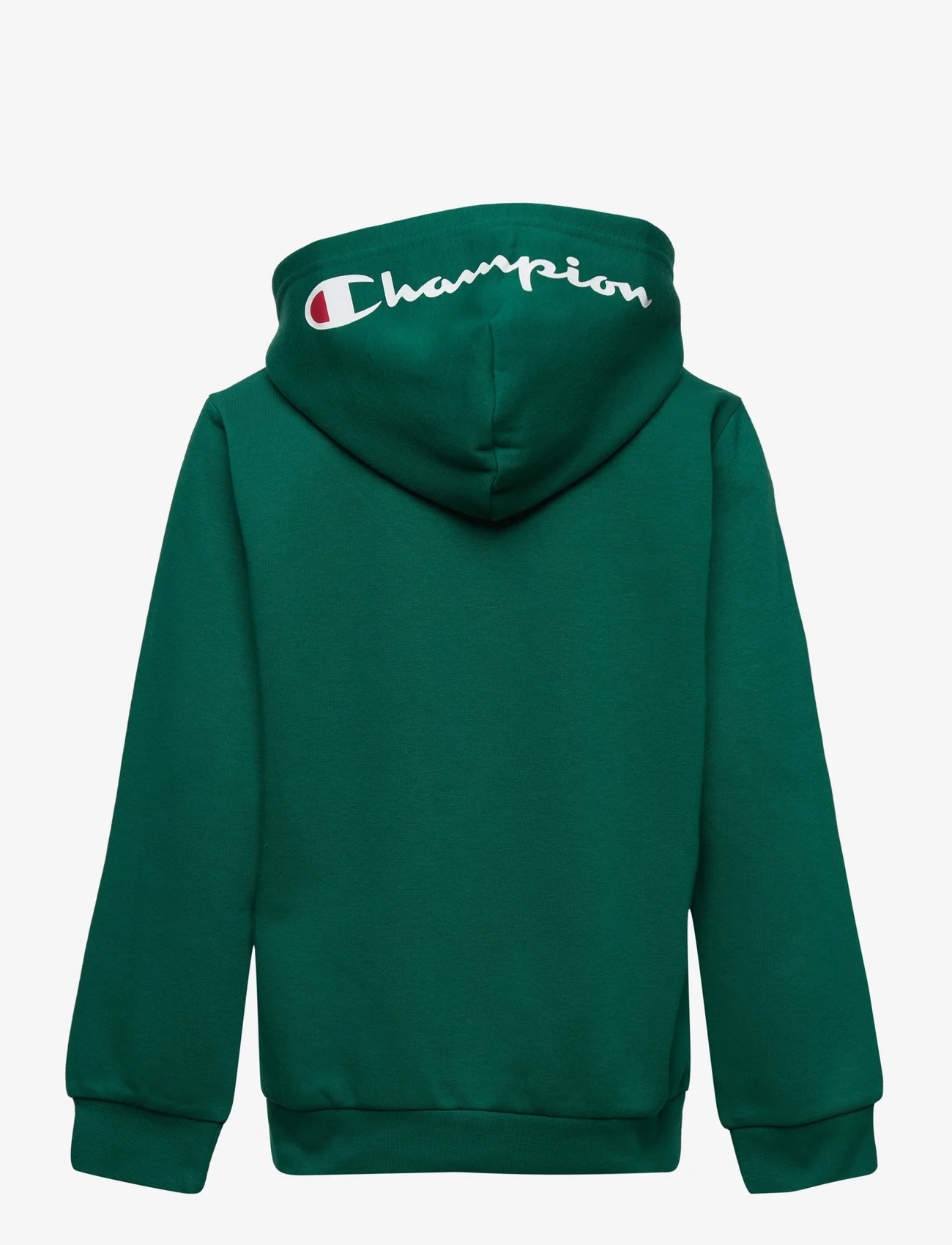 Champion - Half Zip Hooded Sweatshirt - kapuutsiga dressipluusid - aventurine - 1