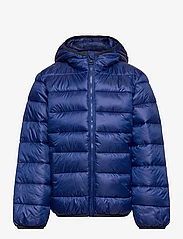 Champion - Hooded Jacket - insulated jackets - bellwether blue - 0