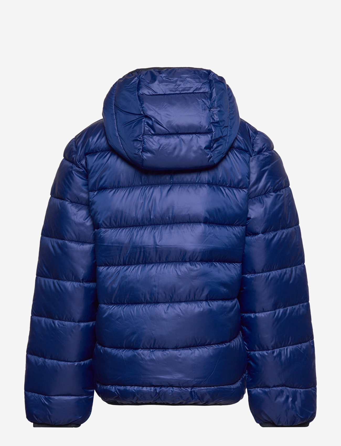 Champion - Hooded Jacket - isolerede jakker - bellwether blue - 1