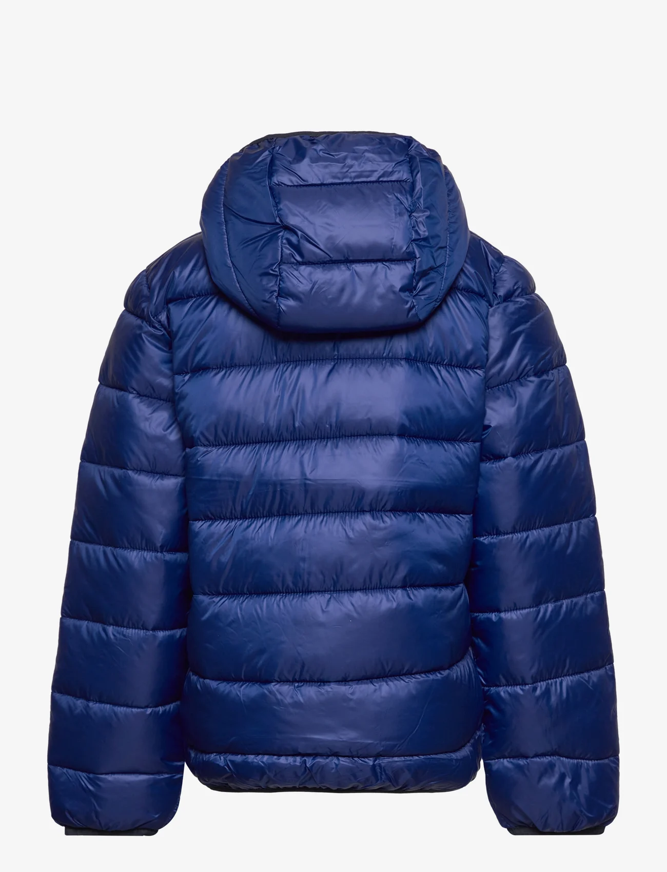 Champion - Hooded Jacket - insulated jackets - bellwether blue - 1