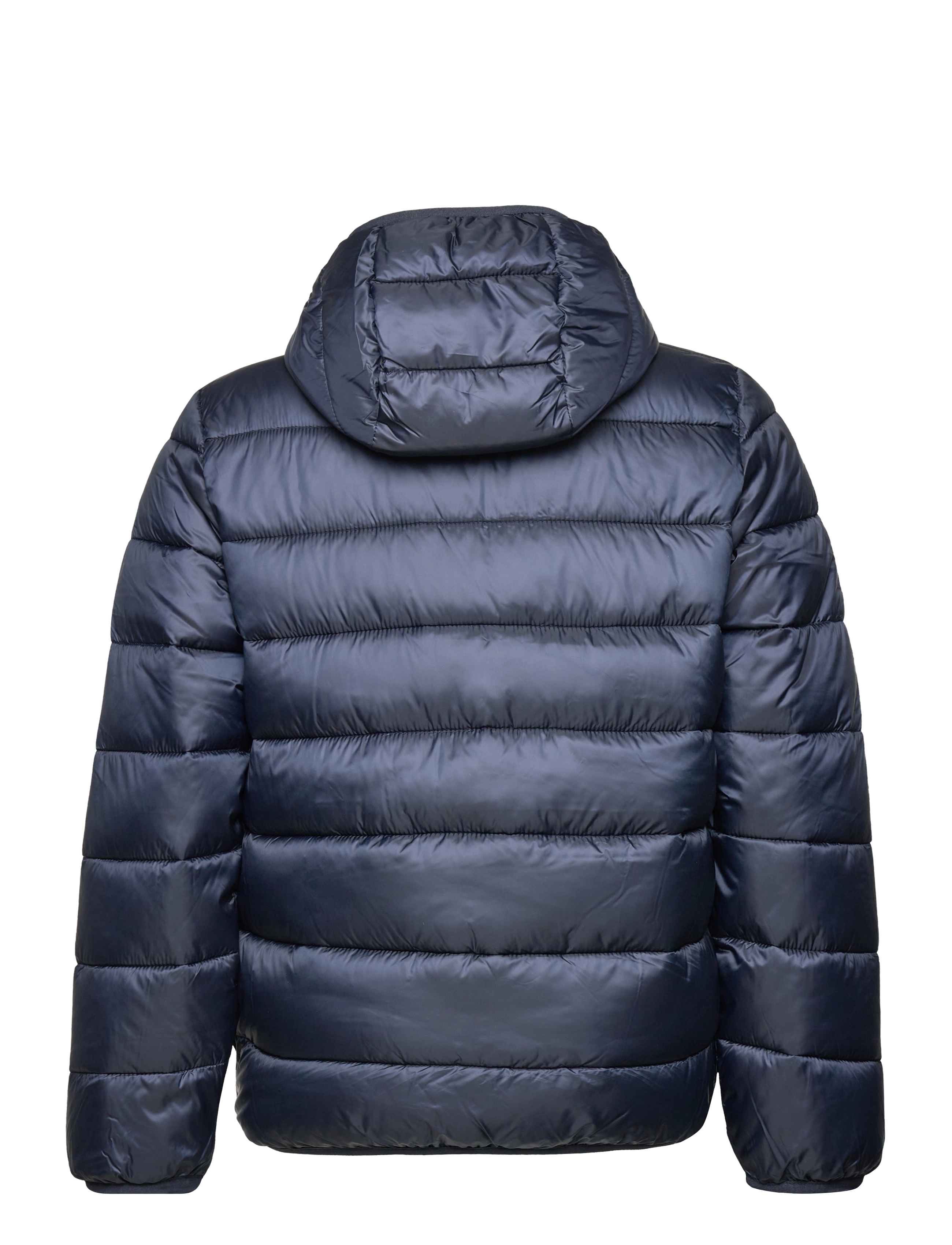 Champion - Hooded Jacket - sky captain - 1