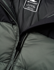 Champion - Hooded Jacket - isolierte jacken - balsamo green - 2