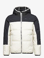 Champion - Hooded Jacket - insulated jackets - silver lining - 0