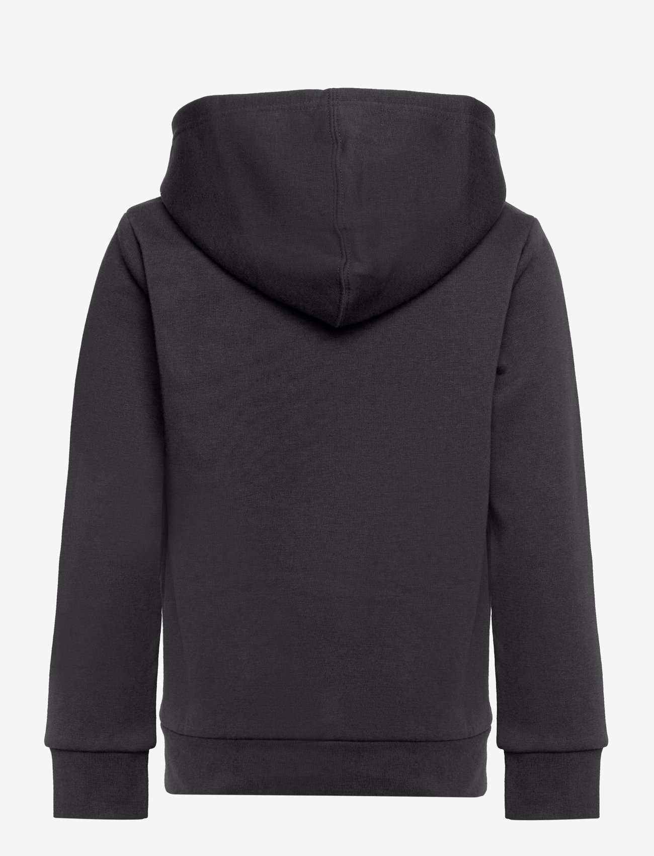 Champion - Hooded Sweatshirt - kapuutsiga dressipluusid - black beauty - 1
