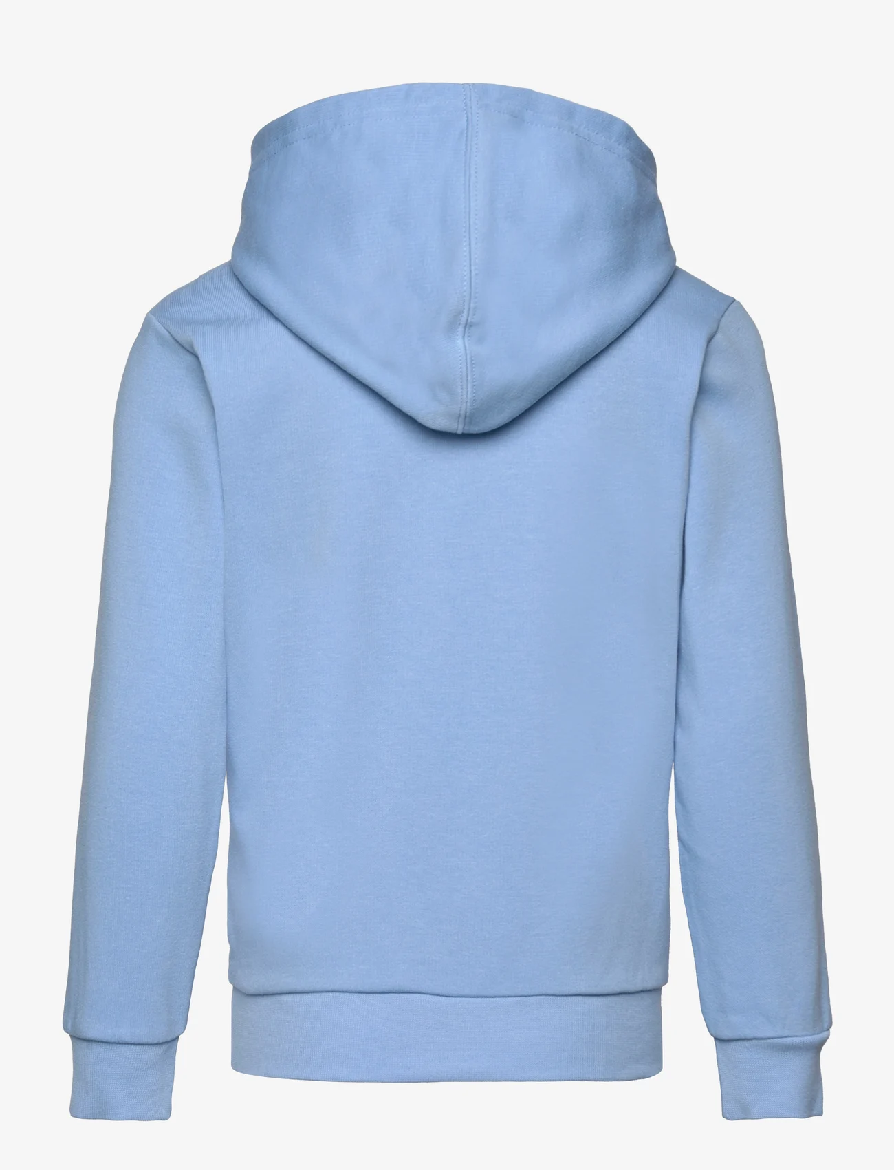 Champion - Hooded Sweatshirt - hupparit - alaskan blue - 1