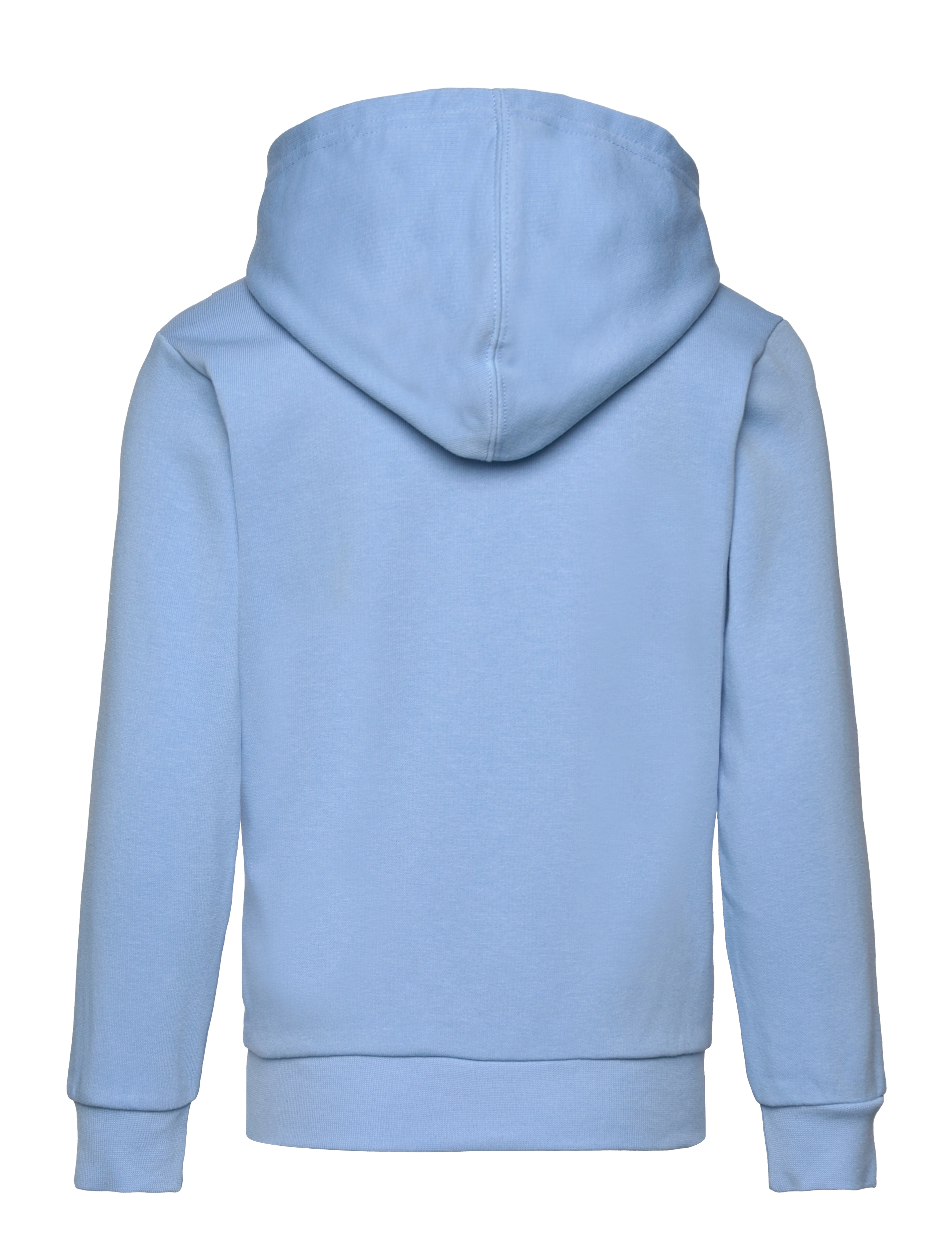 Champion - Hooded Sweatshirt - alaskan blue - 1