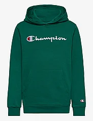 Champion - Hooded Sweatshirt - bluzy z kapturem - aventurine - 0