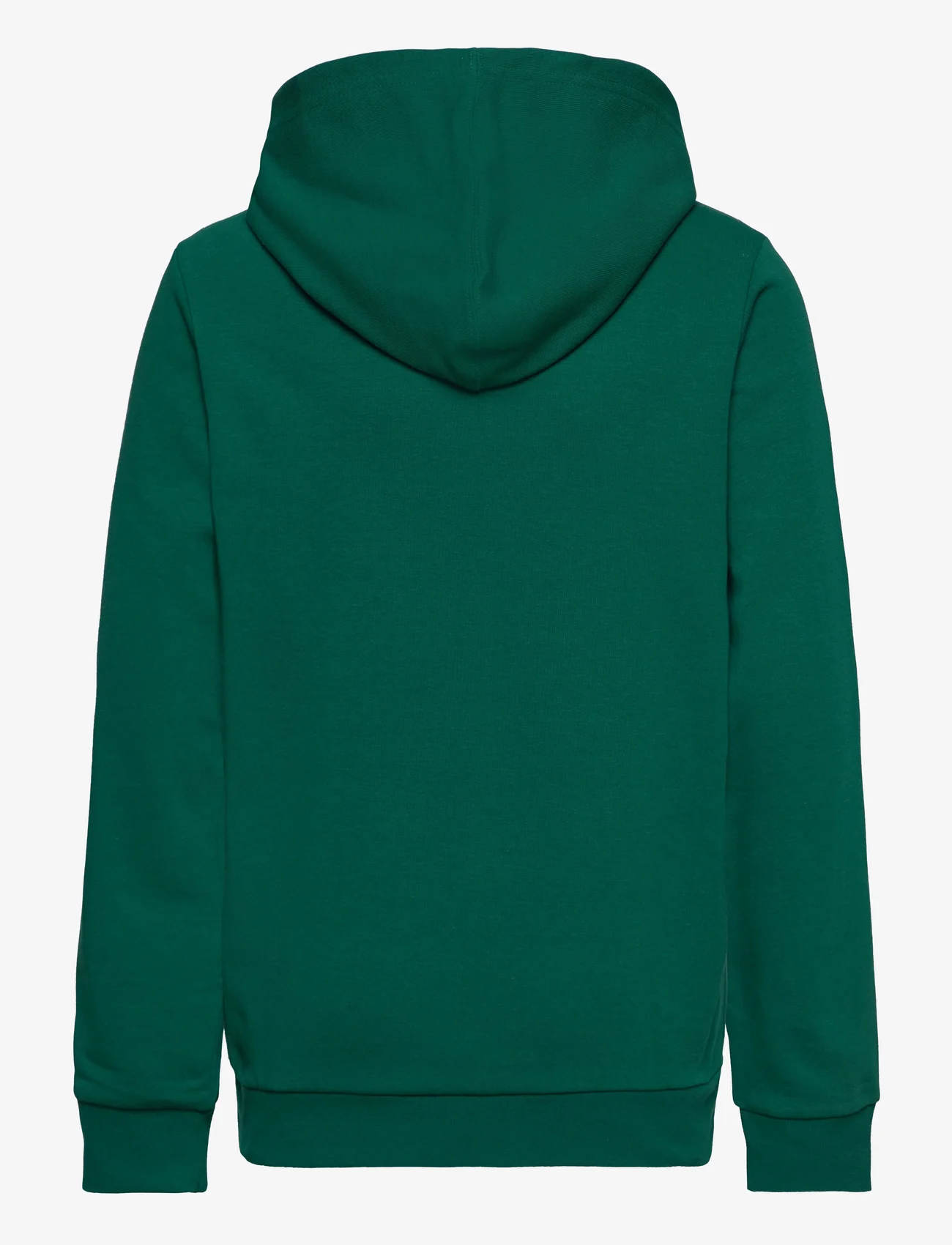 Champion - Hooded Sweatshirt - hupparit - aventurine - 1