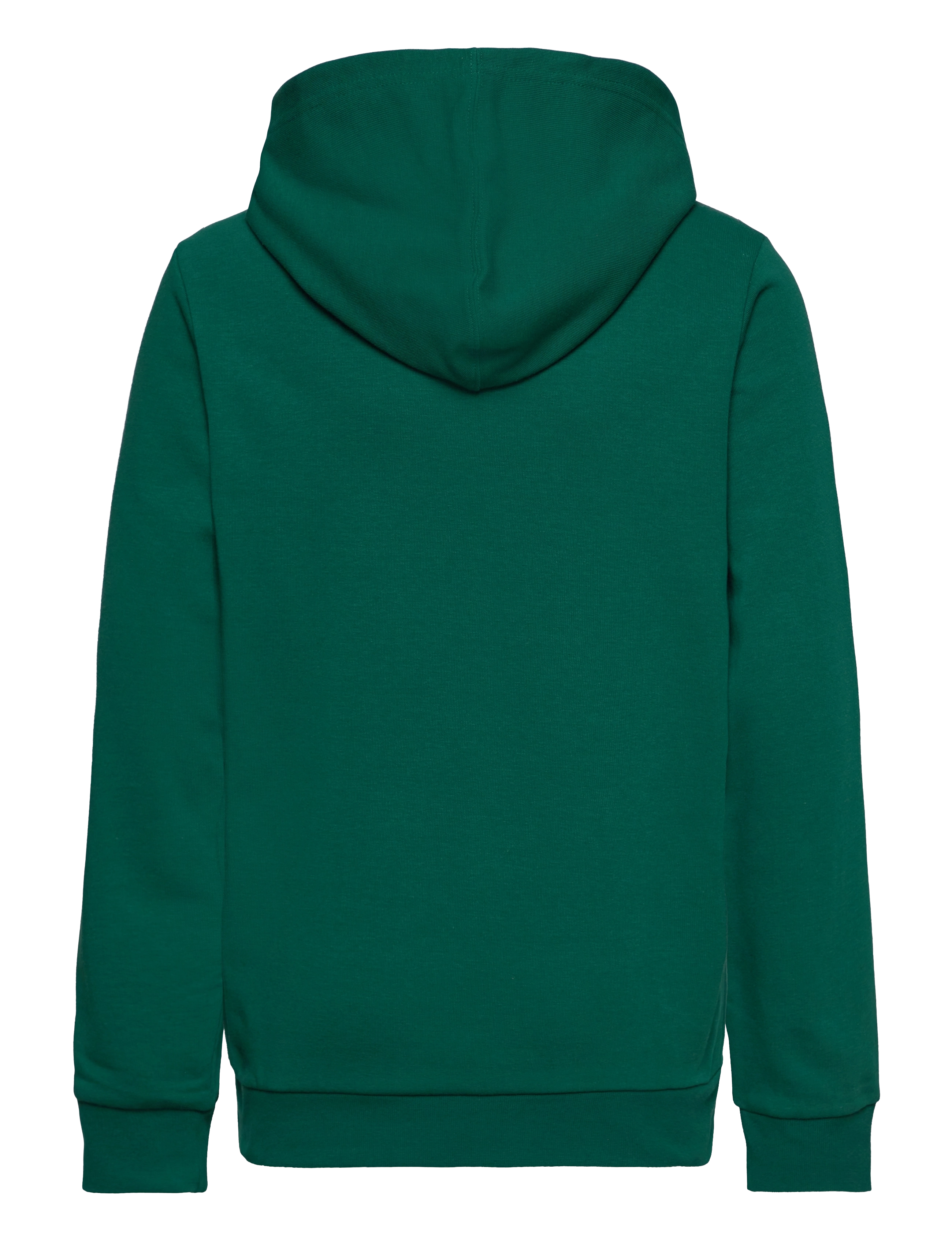 Champion - Hooded Sweatshirt - aventurine - 1