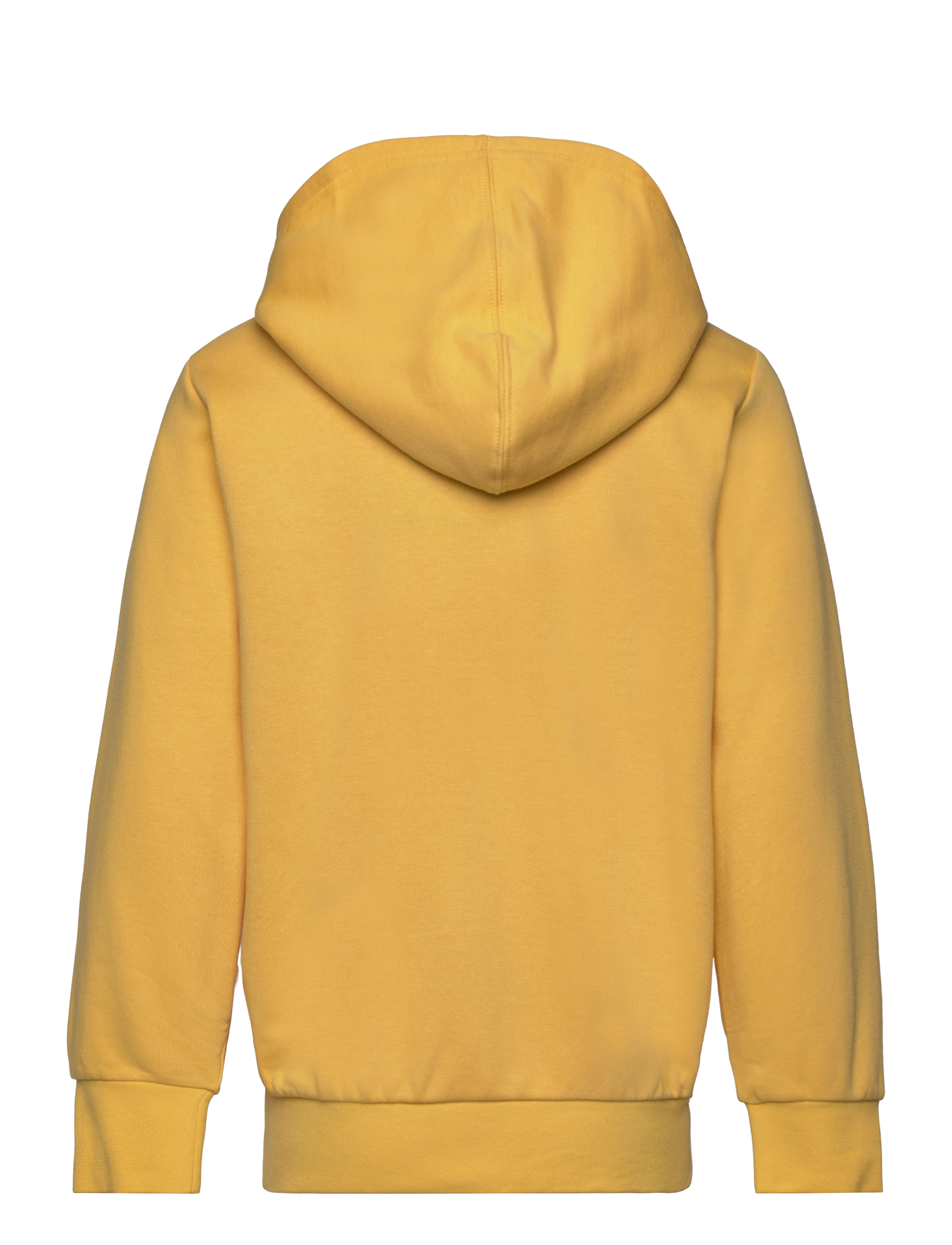 Champion - Hooded Sweatshirt - banana - 1