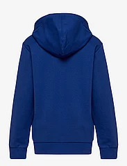 Champion - Hooded Sweatshirt - bluzy z kapturem - mazarine blue - 1