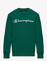 Champion - Crewneck Sweatshirt - swetry - aventurine - 0