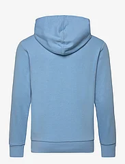 Champion - Hooded Sweatshirt - hoodies - alaskan blue - 1