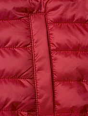 Champion - Vest - ciepłe kamizelki - true red - 3