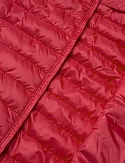 Champion - Vest - ciepłe kamizelki - true red - 4