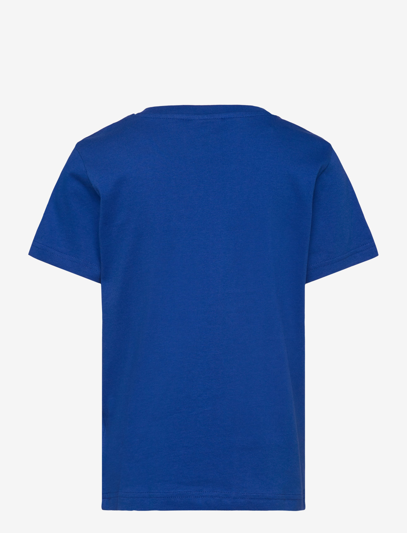Champion - SS Tee - efterårstøj - surf the web - 1