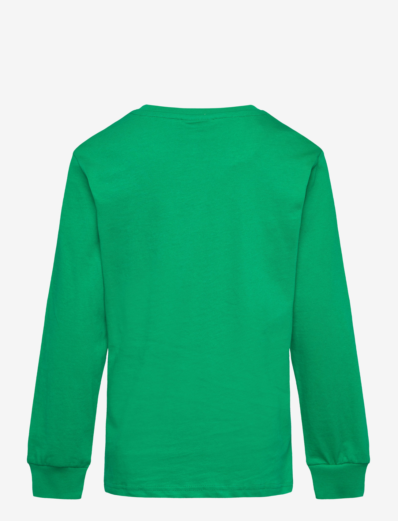 Champion - LS Shirt - langärmelig - green field - 1