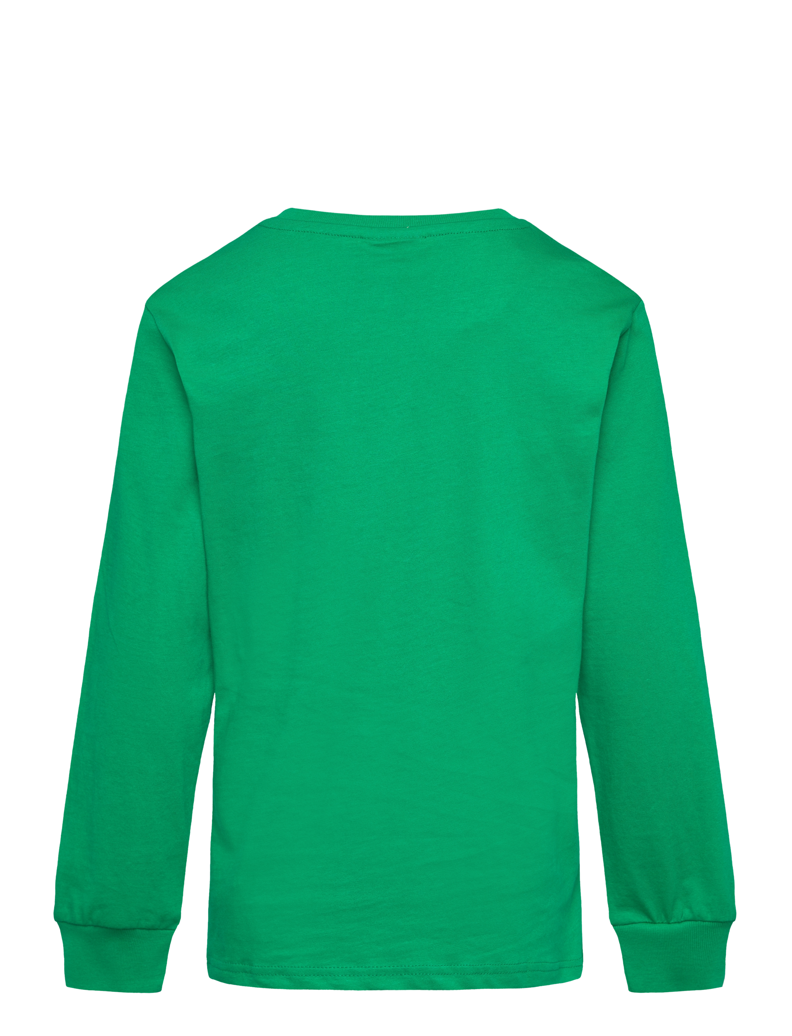 Champion - LS Shirt - green field - 1