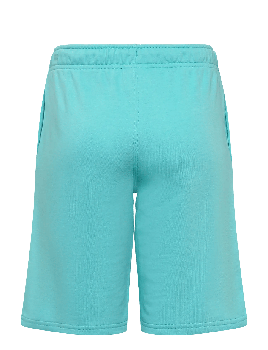 Champion - Shorts - sweatshorts - aquarelle blue light - 1