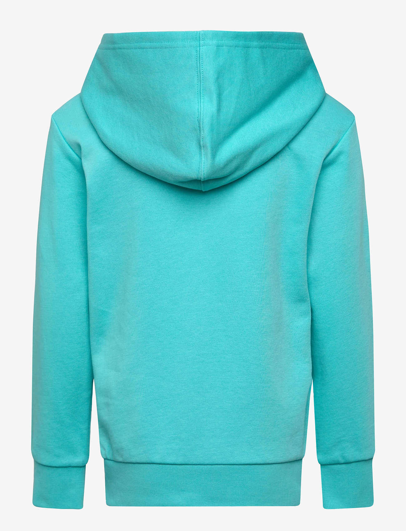 Champion - Hooded Sweatshirt - hoodies - aquarelle blue light - 1