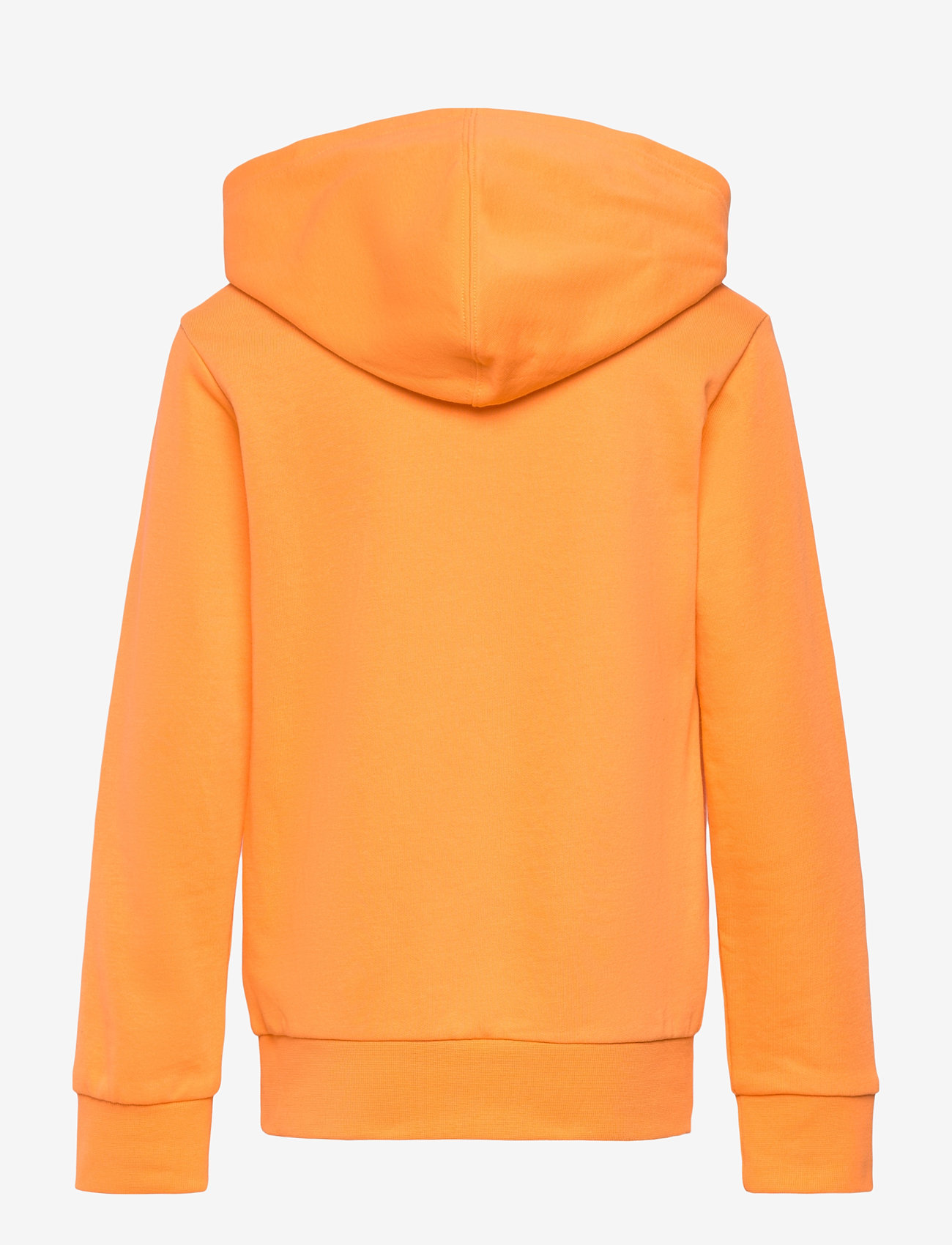 Champion - Hooded Sweatshirt - huvtröjor - pop orange - 1