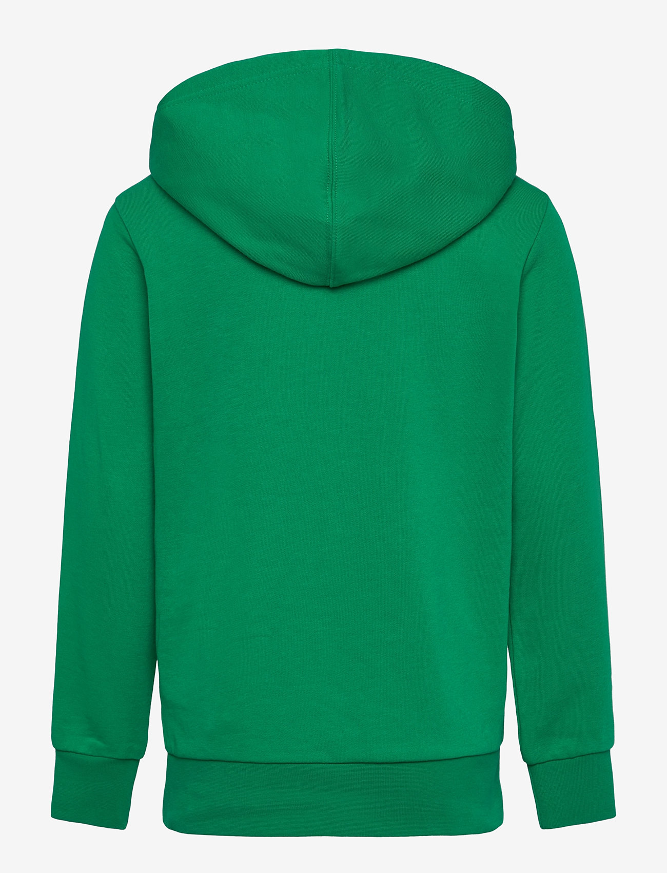 Champion - Hooded Sweatshirt - huvtröjor - green field - 1