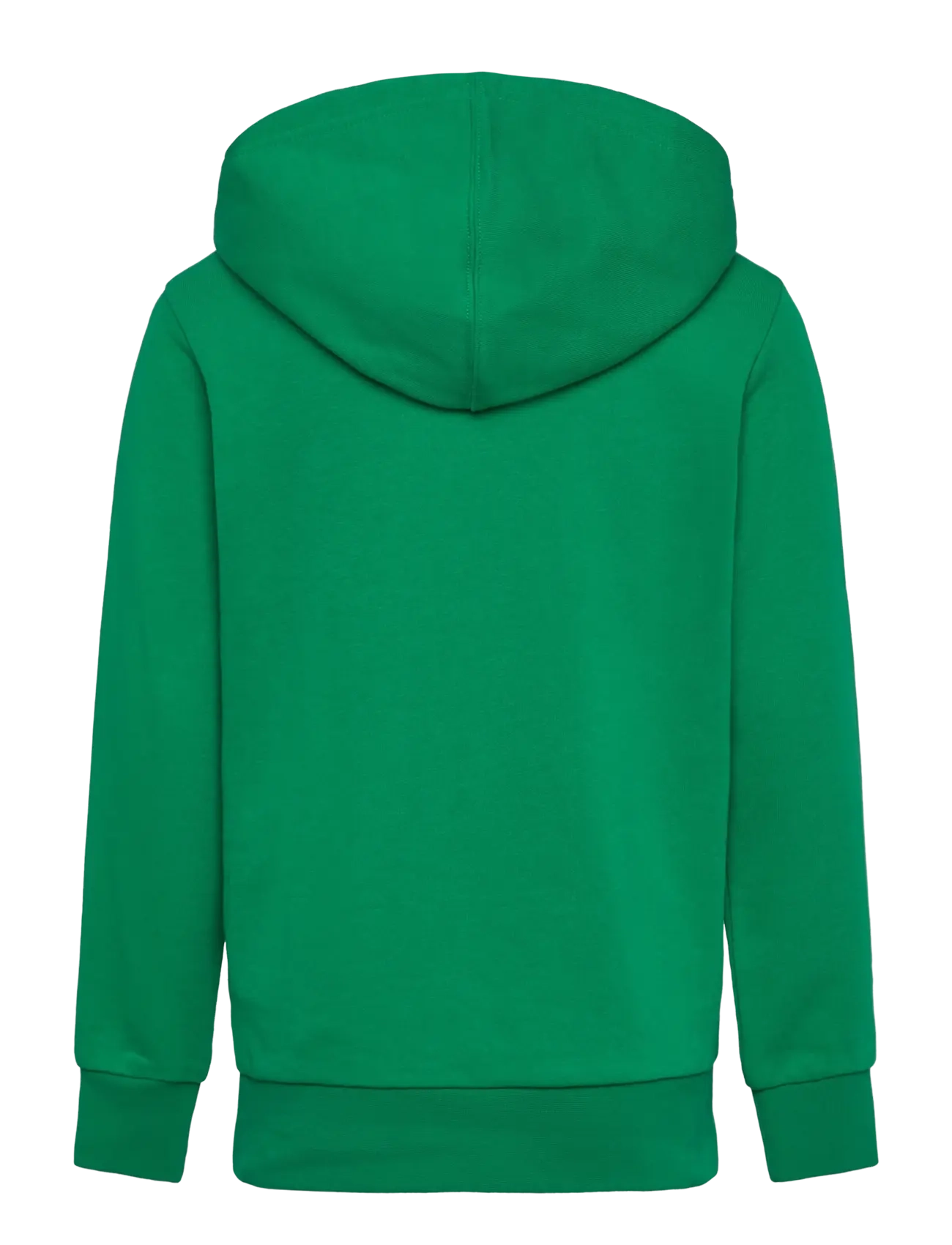 Champion - Hooded Sweatshirt - green field - 1