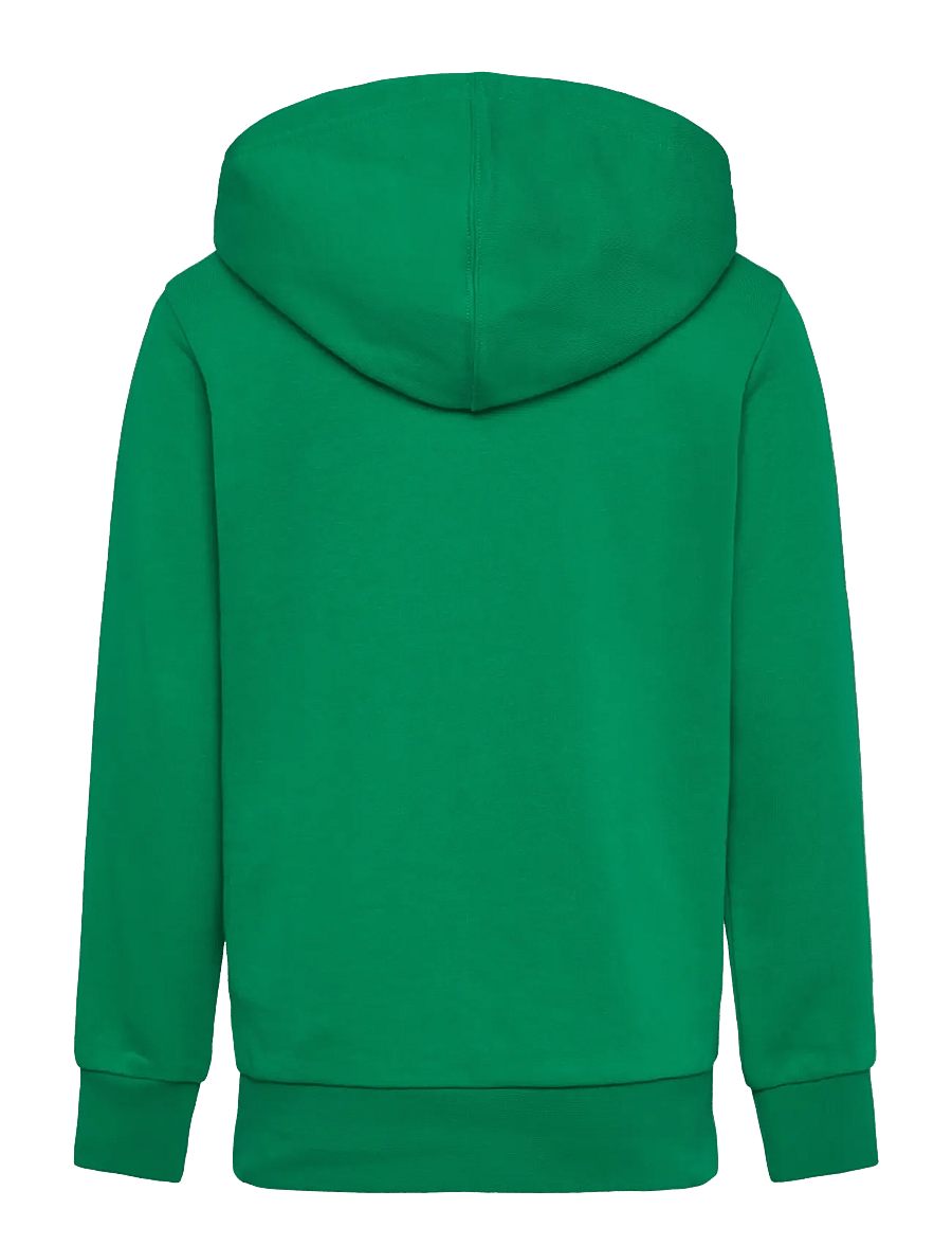 Champion - Hooded Sweatshirt - green field - 1