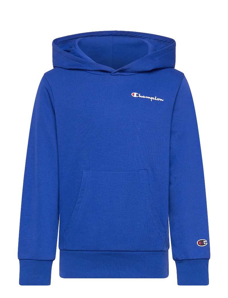 Champion - Hooded Sweatshirt - surf the web - 0