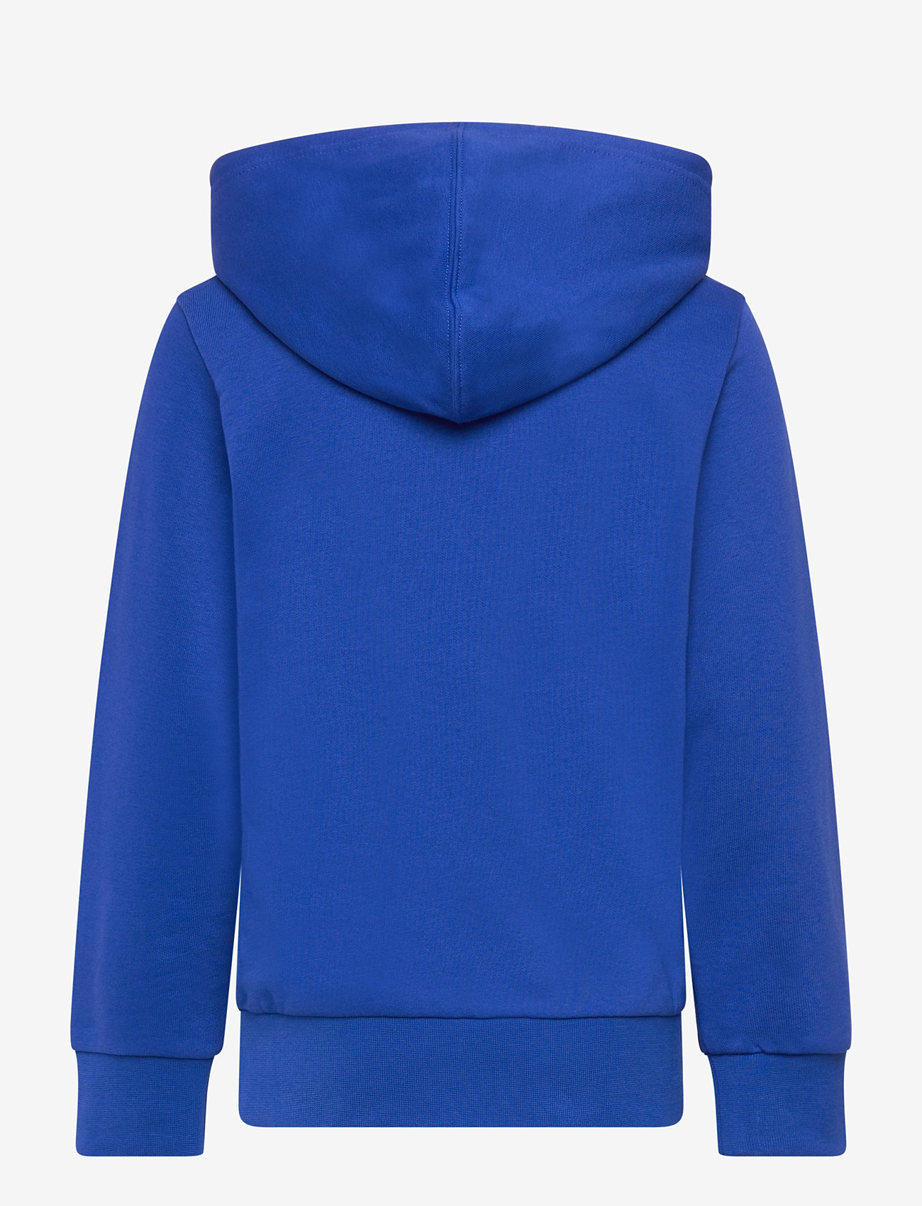 Champion - Hooded Sweatshirt - huvtröjor - surf the web - 1