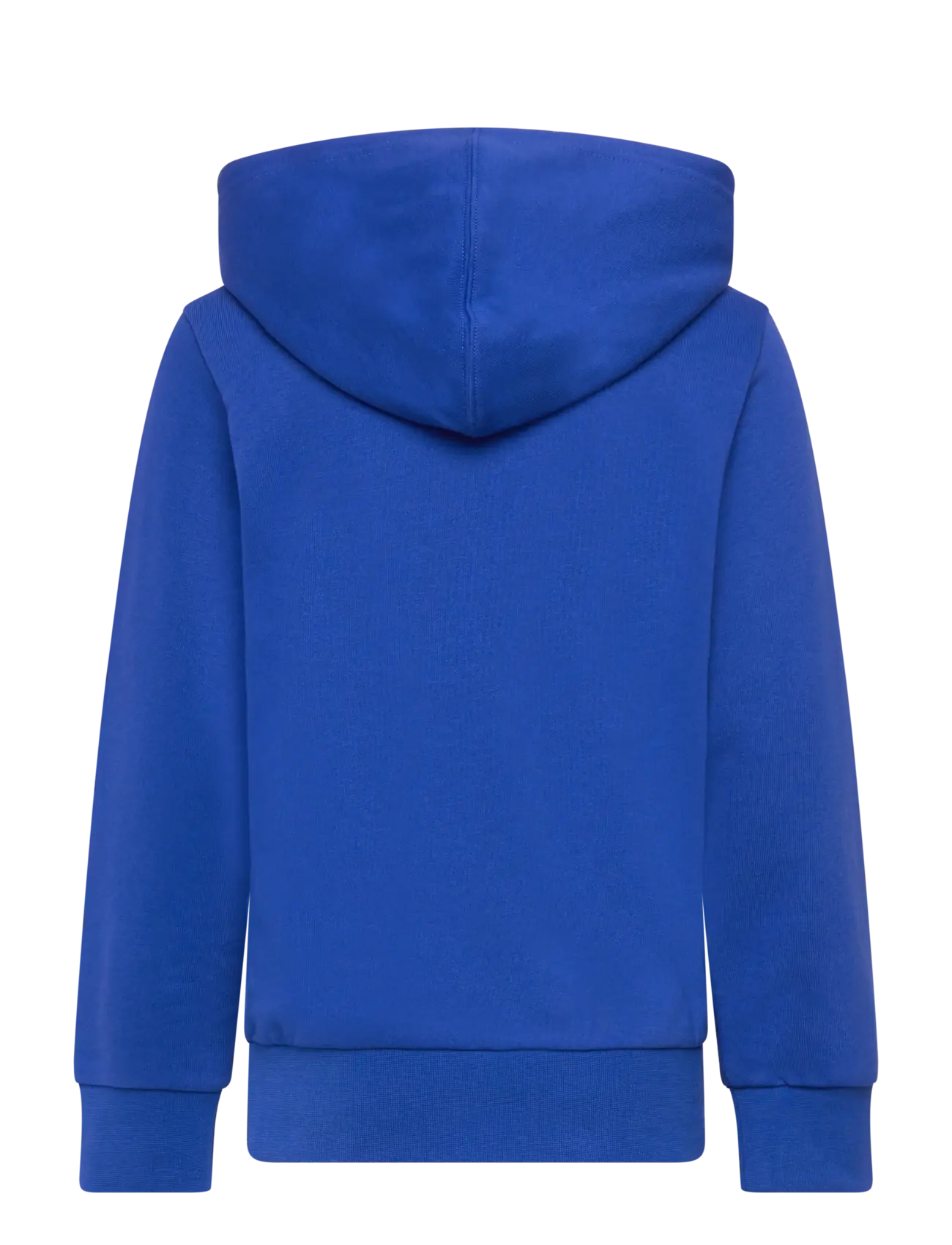 Champion - Hooded Sweatshirt - surf the web - 1