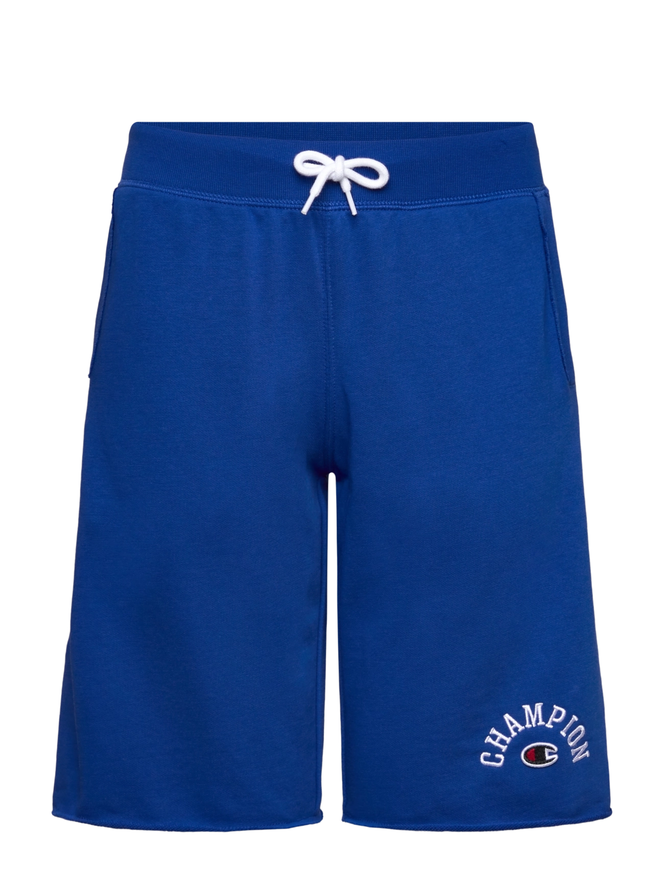 Champion Shorts - 4 for 3 - SURF THE WEB / blue