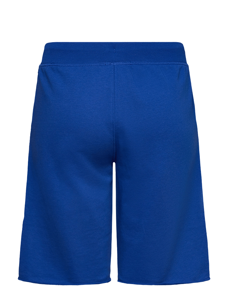 Champion - Shorts - sweat shorts - surf the web - 1