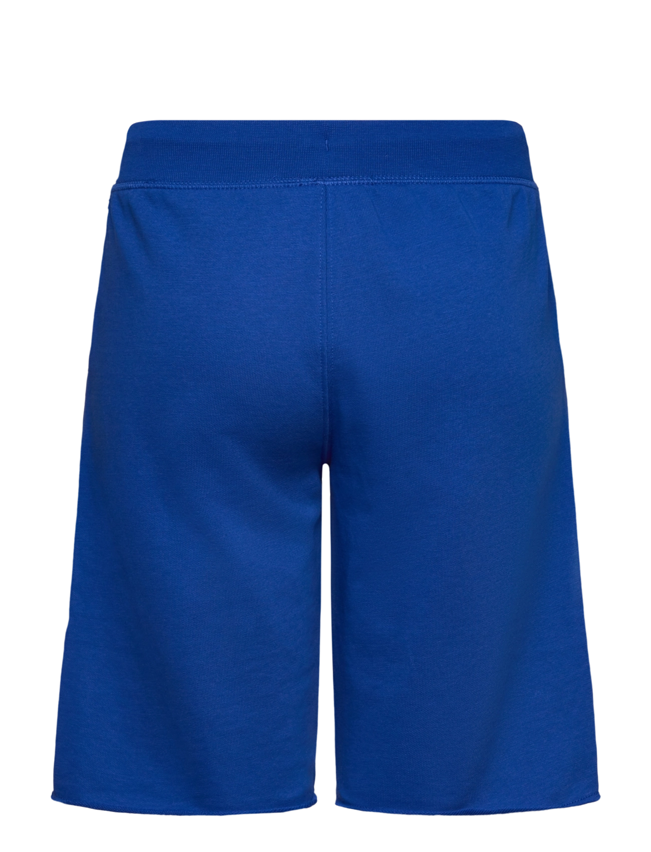Champion - Shorts - sweatshorts - surf the web - 1
