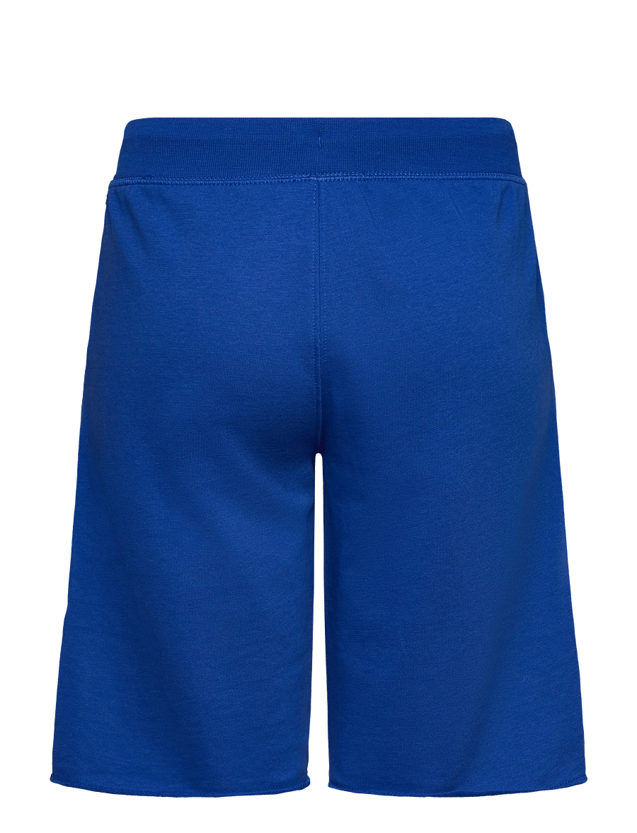 Champion - Shorts - sweatshorts - surf the web - 1
