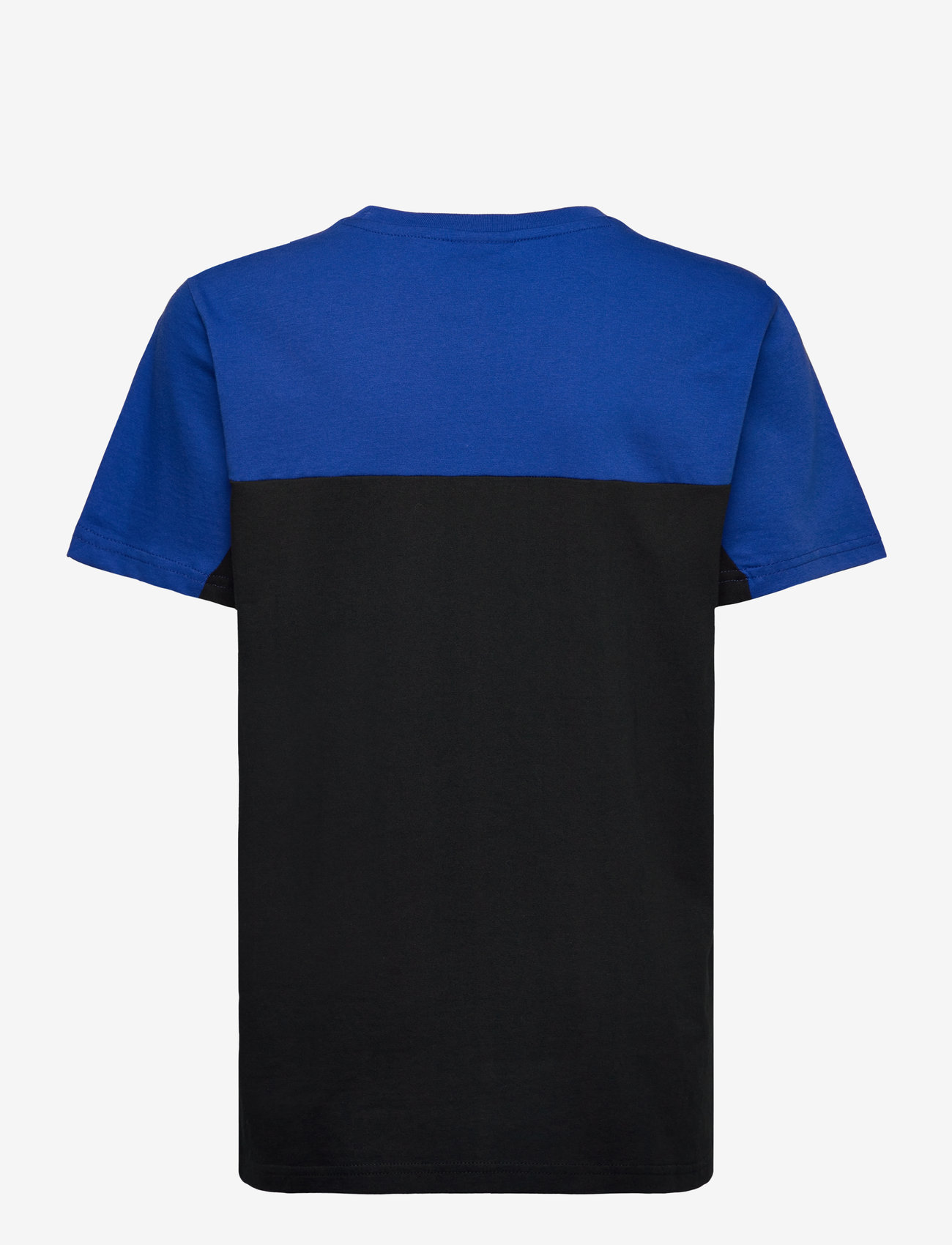 Champion - SS Tee - kurzärmelig - surf the web - 1